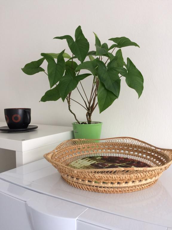 Apartman Namesti Horniku Trutnov Dış mekan fotoğraf